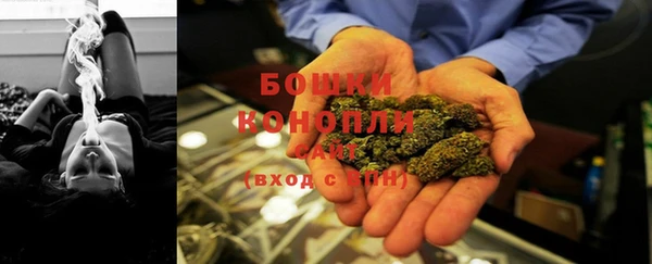 первитин Вяземский