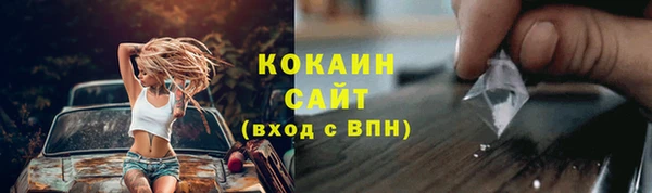 шишки Снежногорск