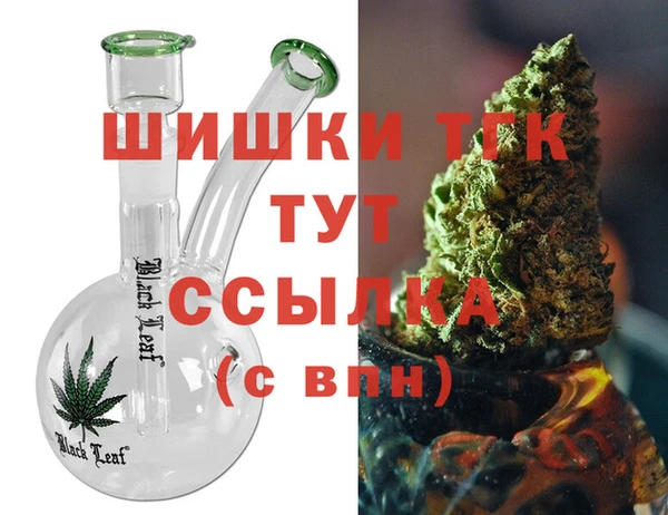 индика Вязники