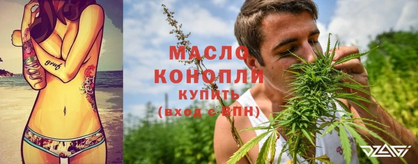 индика Вязники