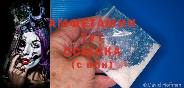 прущие грибы Володарск