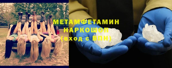 прущие грибы Володарск