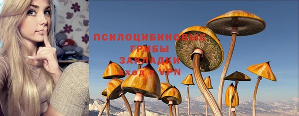 прущие грибы Володарск